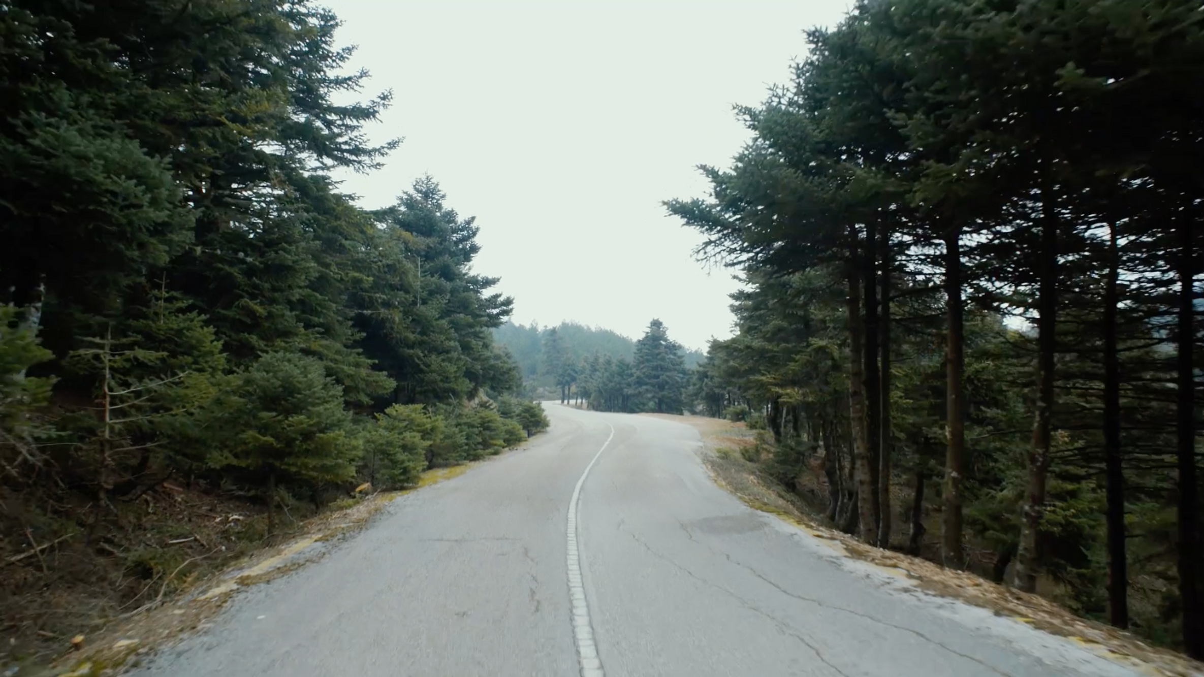 WANDERLUST